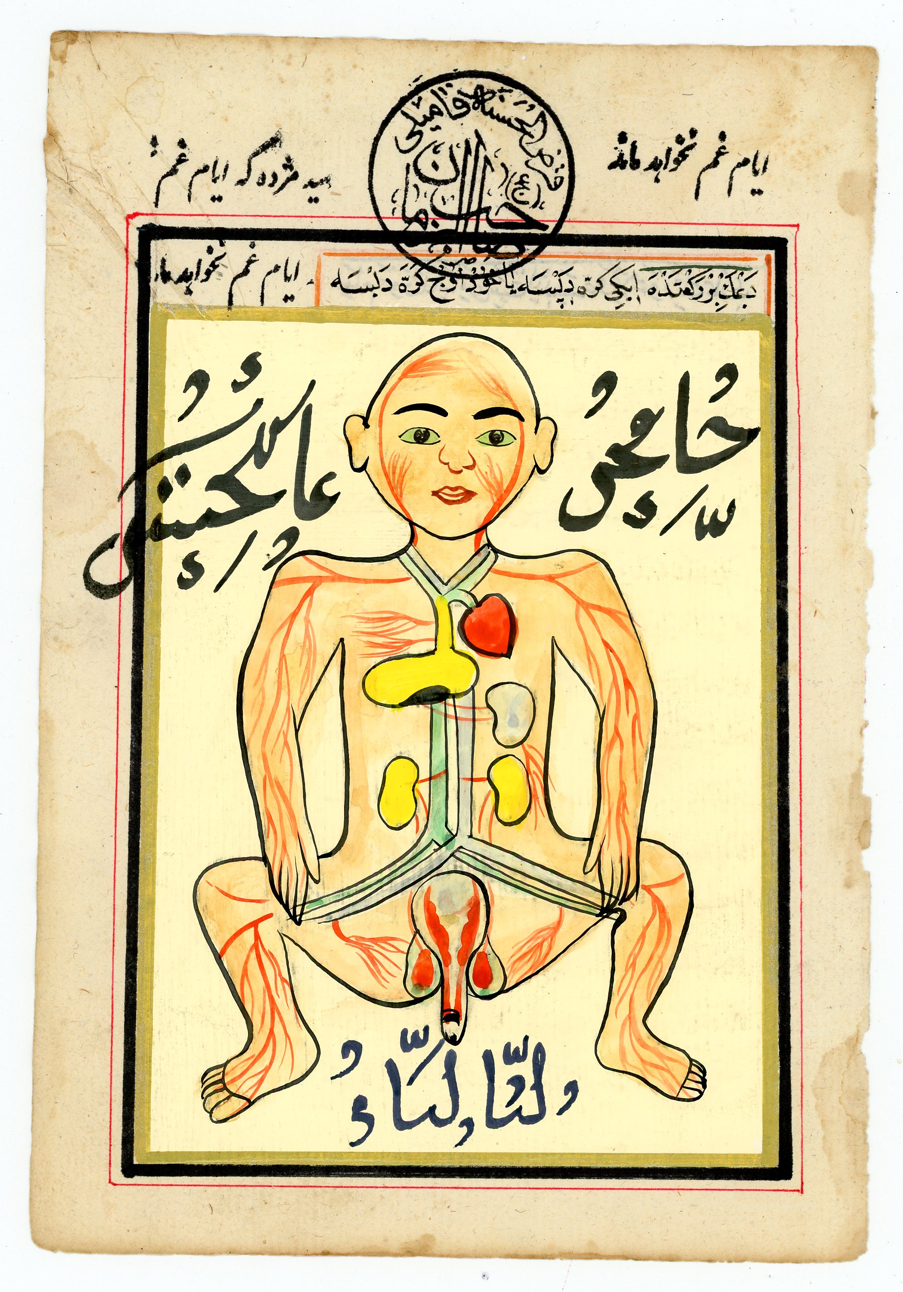 lamina anatomia medico persa 1u